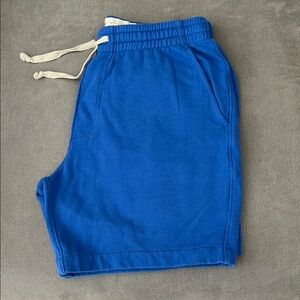 Brand NEW J. Crew Men's Blue Shorts